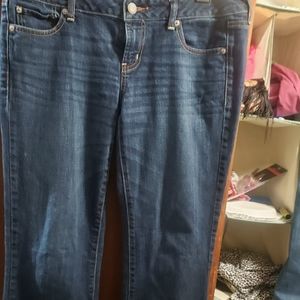 American eagle plants